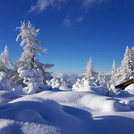 Haus Lorenz 아파트 *